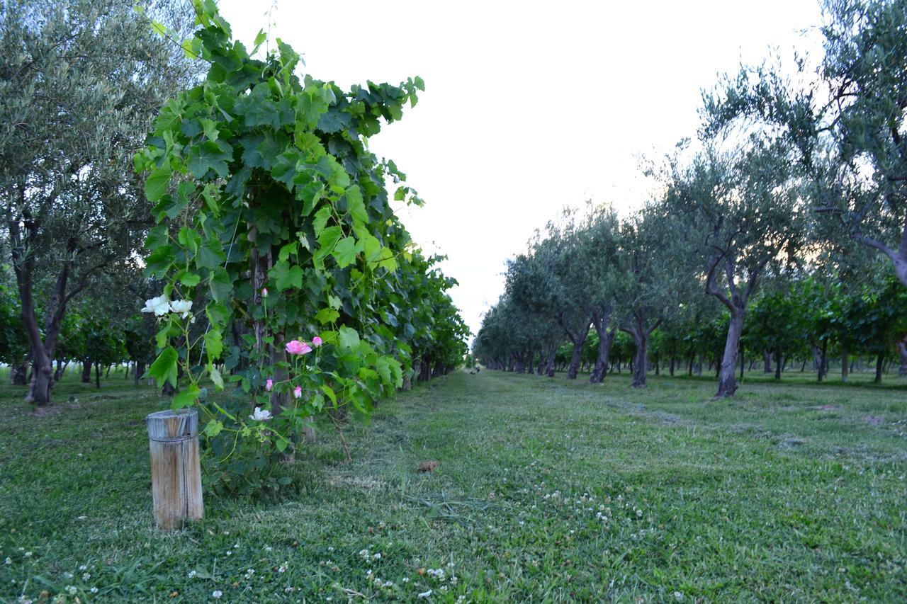 Finca Fisterra Maipú Exteriér fotografie