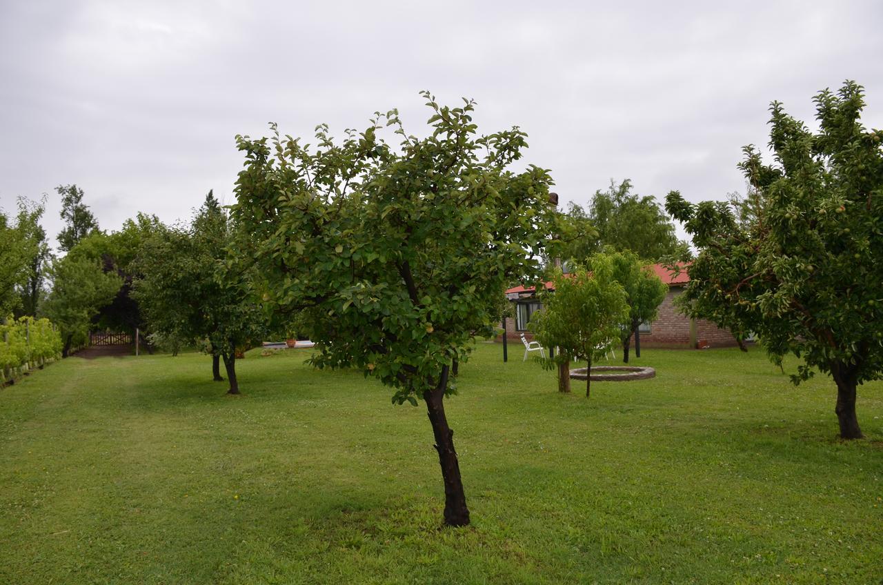 Finca Fisterra Maipú Exteriér fotografie