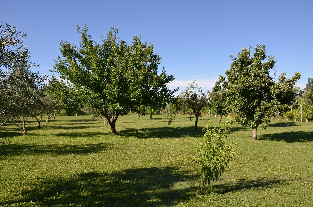 Finca Fisterra Maipú Exteriér fotografie