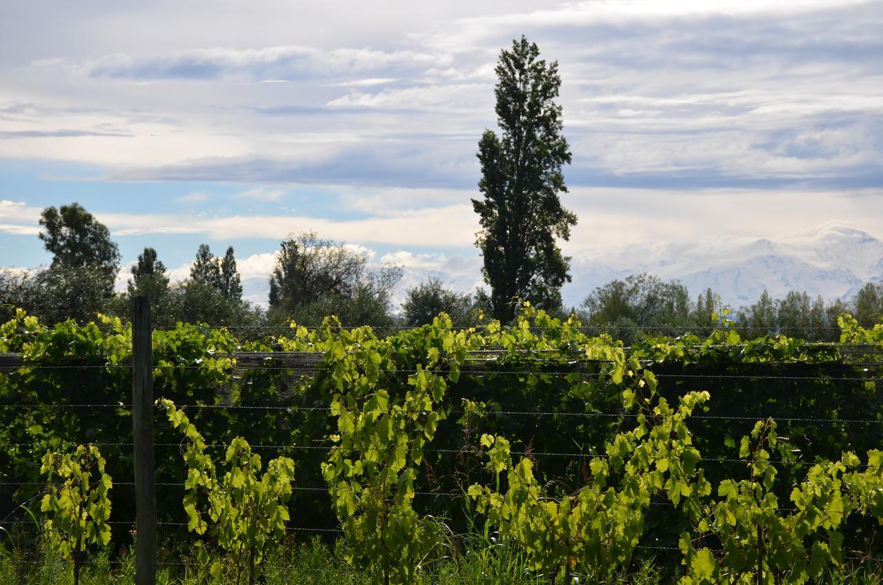 Finca Fisterra Maipú Exteriér fotografie