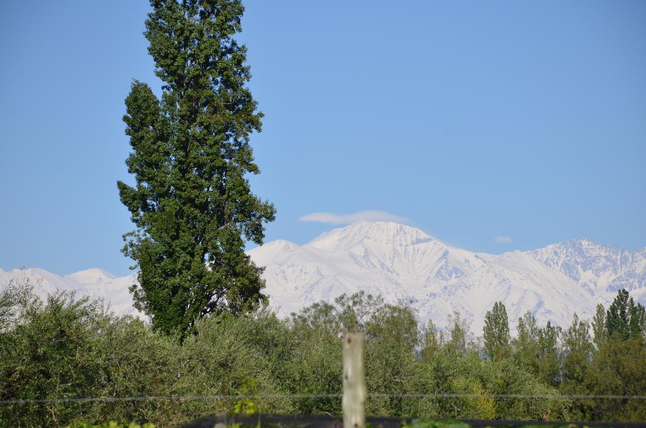 Finca Fisterra Maipú Exteriér fotografie