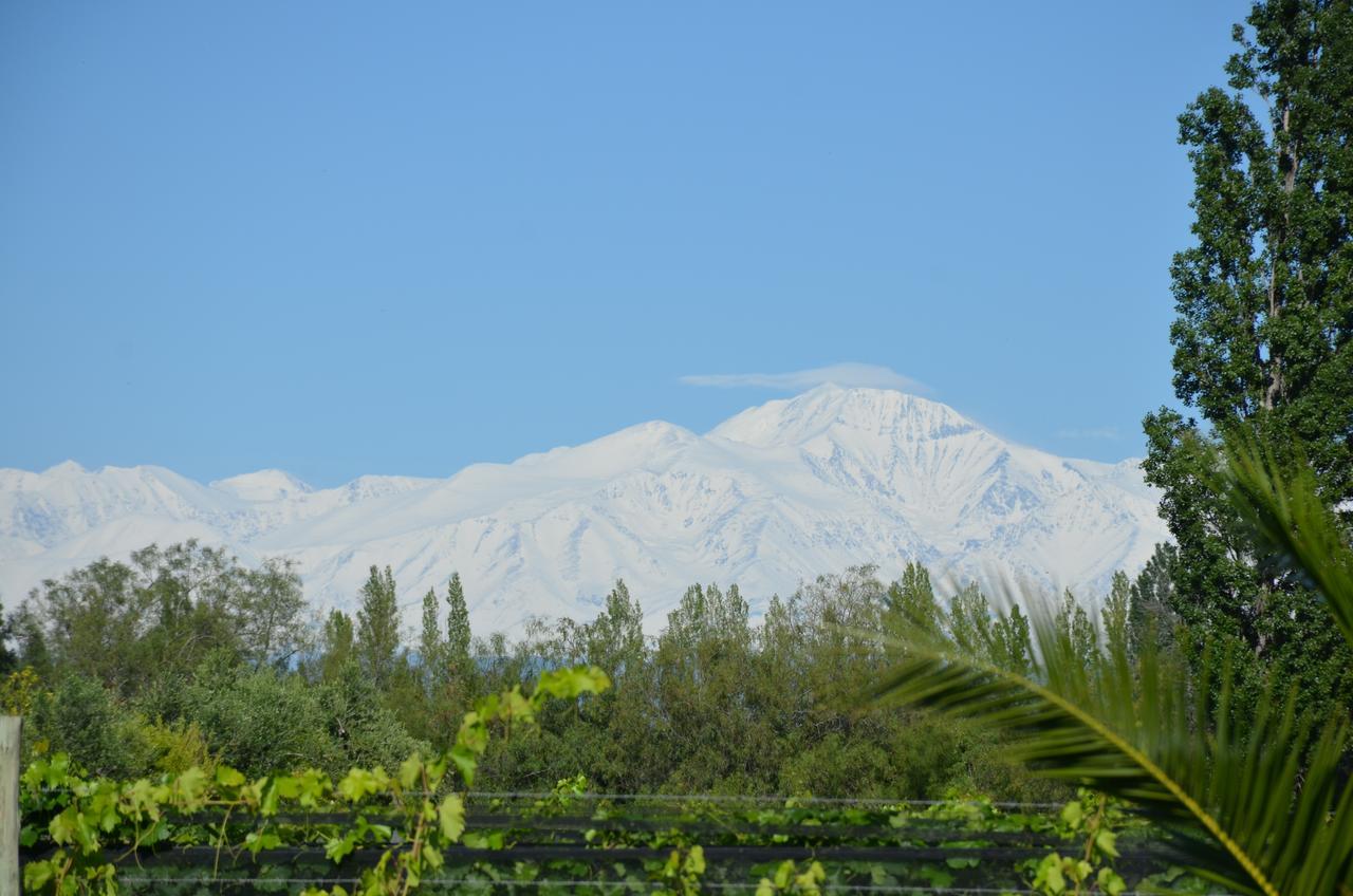 Aparthotel Finca Fisterra Maipú Exteriér fotografie