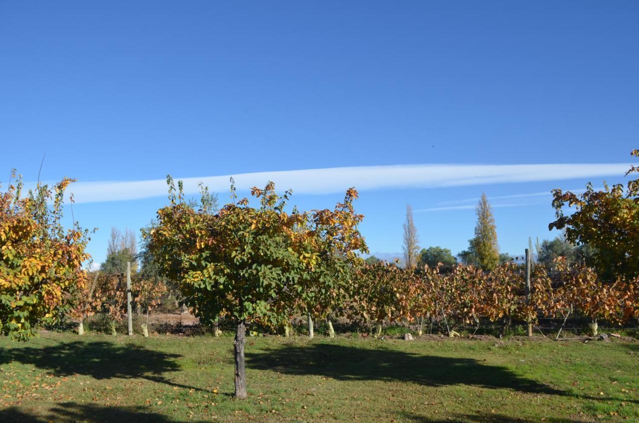Finca Fisterra Maipú Exteriér fotografie