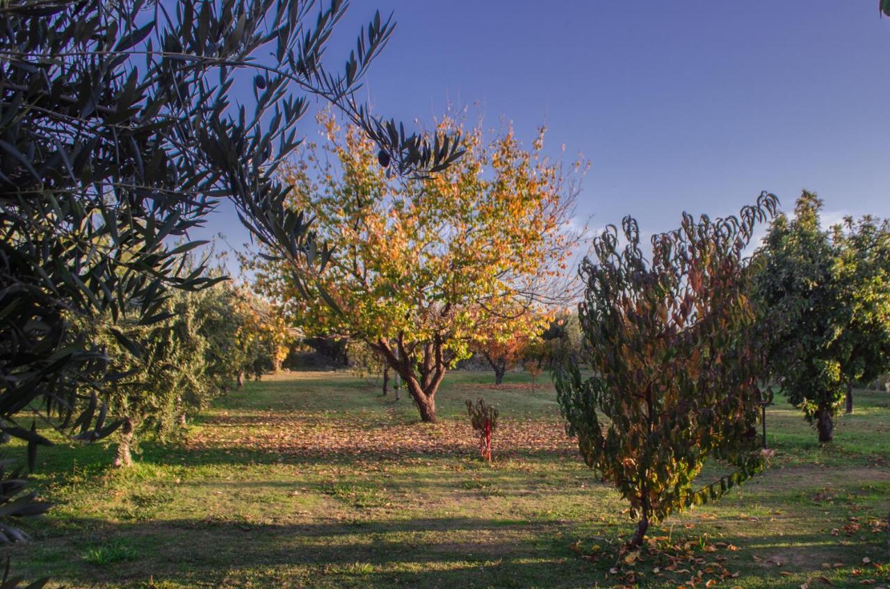 Aparthotel Finca Fisterra Maipú Exteriér fotografie