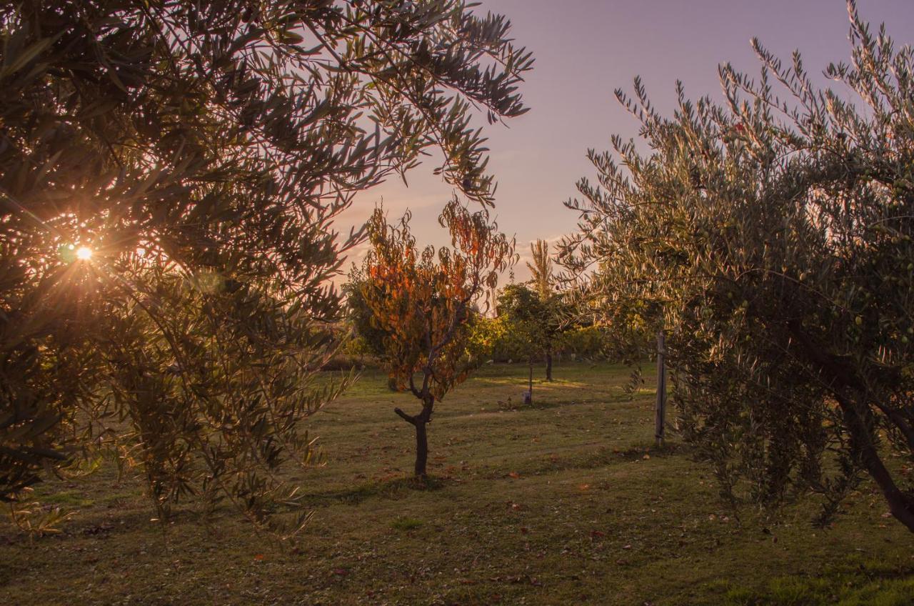 Finca Fisterra Maipú Exteriér fotografie