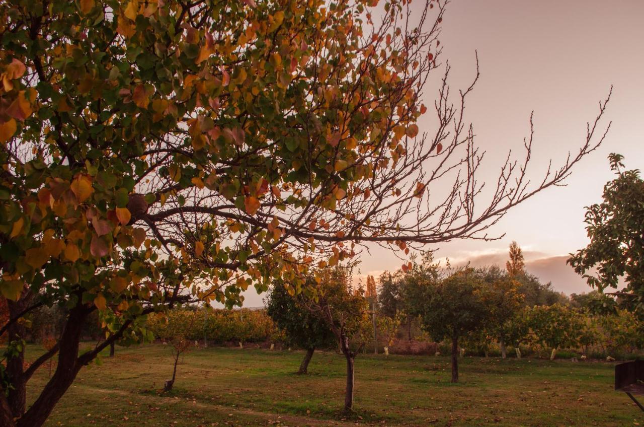 Aparthotel Finca Fisterra Maipú Exteriér fotografie