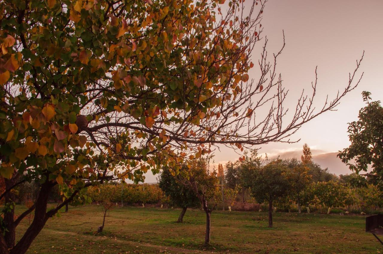 Finca Fisterra Maipú Exteriér fotografie